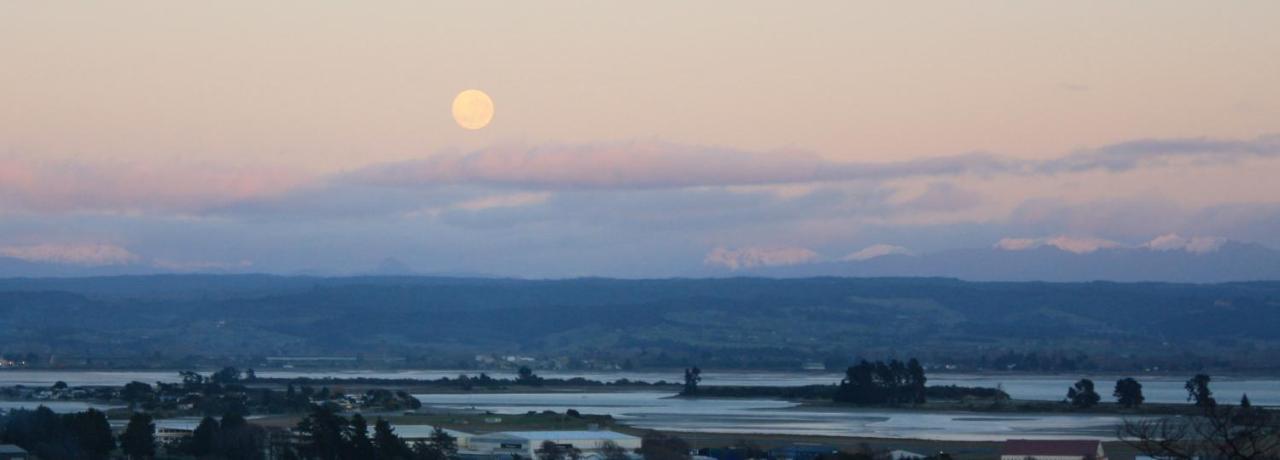 Tahuna Hills Guesthouse Nelson Exteriör bild